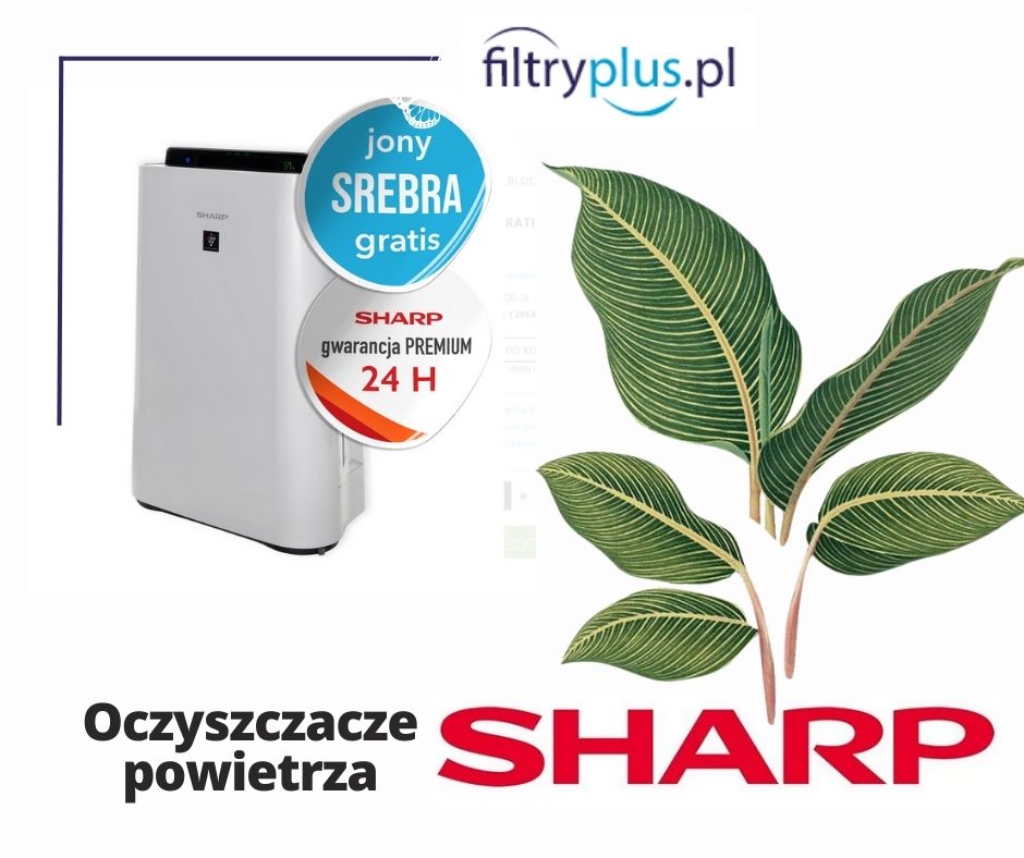 Oczyszczacz powietrza Sharp. Jaki filtr do oczyszczacza powietrza Sharp?