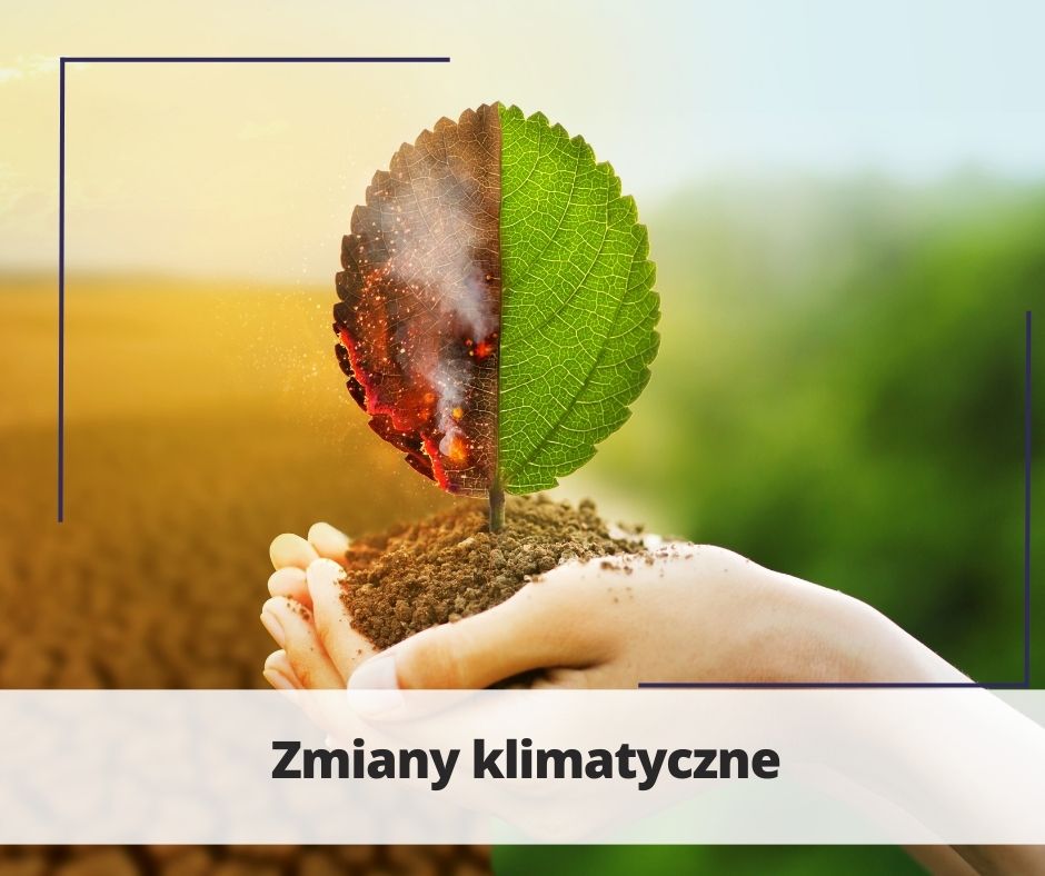 zmiany klimatyczne