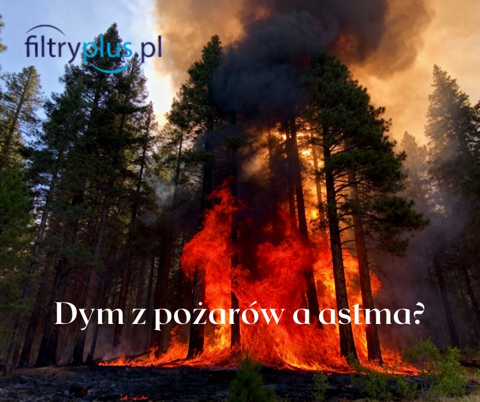 Dym z pożarów dociera setki kilometrów dalej. Najbardziej cierpią dzieci z astmą