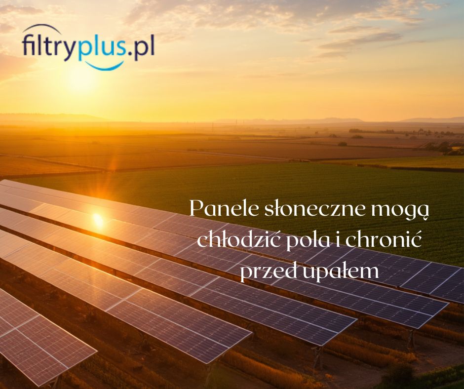 panele-słoneczne-mogą-chłodzić-pola